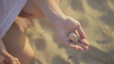 Girl collects shells Stock Footage 7749910
