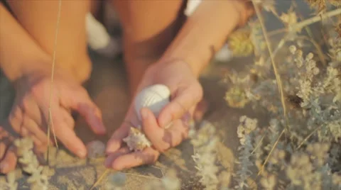 Girl collects shells Stock Footage 7750160