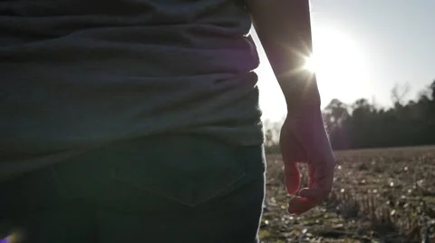 Girl cornfields waist down Video stock 52074723