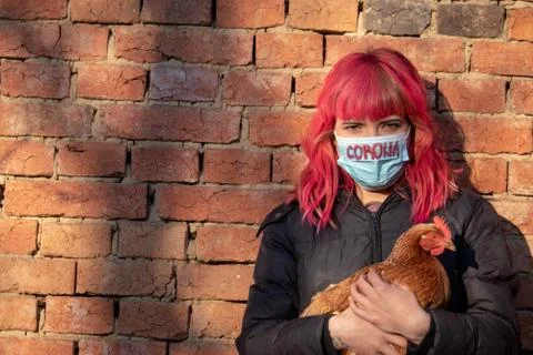 Girl with Corona mask holding chicken. As animal agriculture in China is the Stock Photos