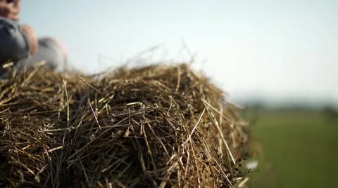 Girl in the countryside. Pretty girl is sitting on haystacks Stock Footage