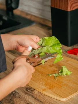 Girl is cutting cabbage with scissors in the kitchen. Stock Photos