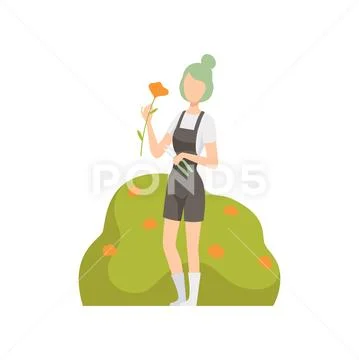 Girl cutting flowers from a bush, people working in the garden vector Stock Illustration