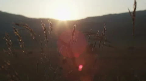 Girl dancing during the sunset time on mountain in blur 스톡 동영상 53282245