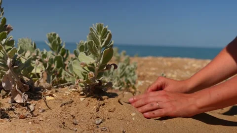 Girl digs up egg with bare hands in desert sand Vídeos de archivo 312994864