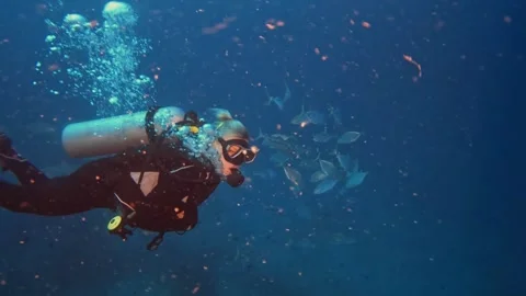 Girl diver Stock Footage 306316846