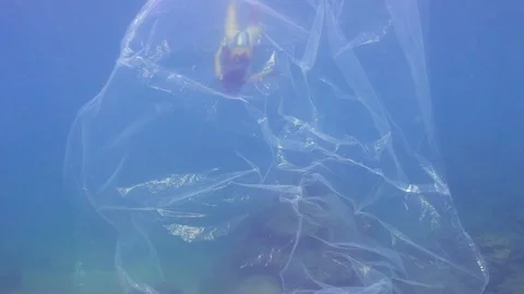 A Girl is Diving Behind a Plastic Bag Stock Footage 120179059