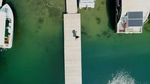 Girl On Dock Using Smartphone Stock Footage 94736499