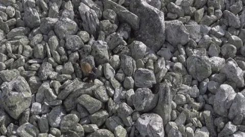 Girl does yoga on the rocks Stock Footage 65323745
