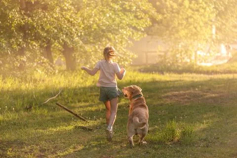 Girl with dog Labrador run together on the field Stock Photos