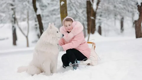 Girl with dog in winter Stock Footage 148556953