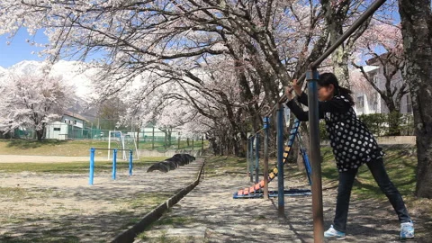 A Girl Doing a Backflip on a Horizontal Bar Under the Somei Yoshino Cherry Stock-Footage 330189596
