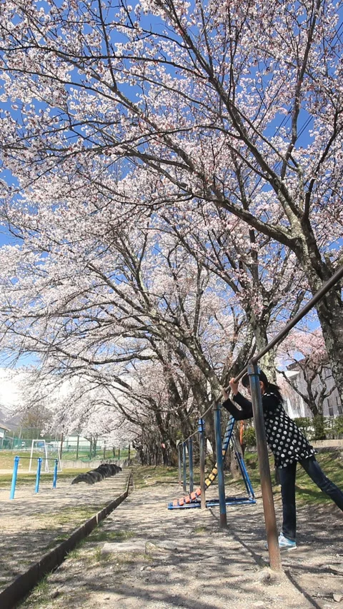 A Girl Doing a Backflip on a Horizontal Bar Under the Somei Yoshino Cherry Stock-Footage 330189647