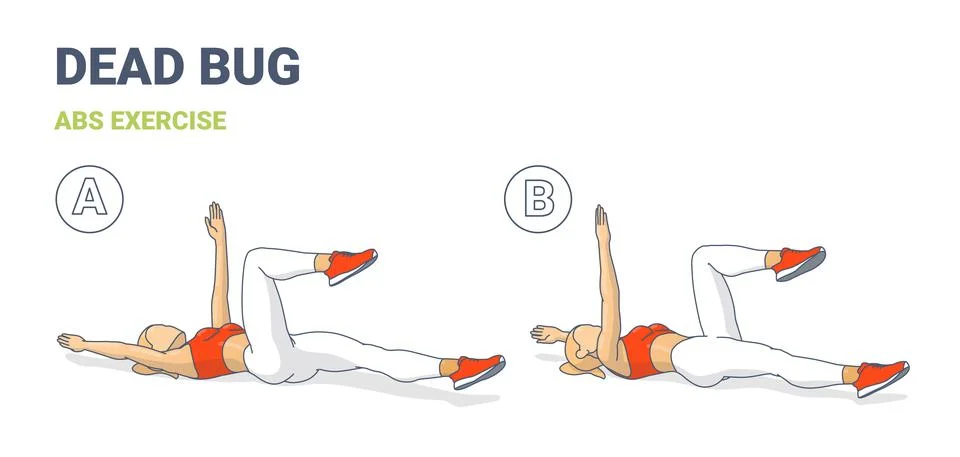 Girl Doing Dead Bug Exercise, Woman Home Workout Fitness, Aerobic Guidance. イラスト素材