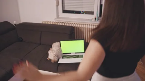 A girl doing a jumping jack and watching online tutorials on laptop Stock Footage 145664531