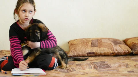 Girl doing lessons together with your puppy Stock Footage 36723445