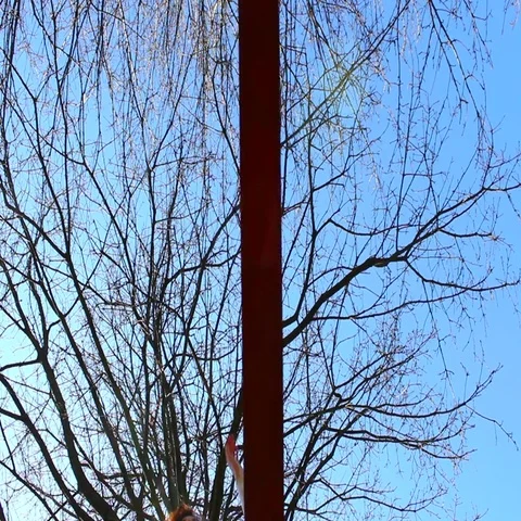 Girl doing slackline bottom camera angle Video stock 69387701