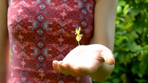 A girl in a dress has a fallen leaf spinning on her hand Stock Footage