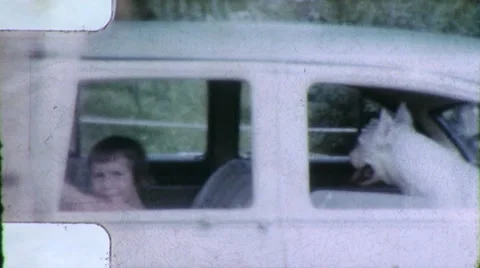 GIRL DRIVES CAR Pet Dog Circa 1963 (Vintage Old Film Home Movie Footage) 5661 Stock Footage