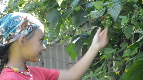 Girl eating a raspberry Stock-Footage 25558936