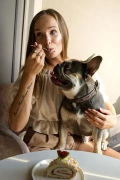 A girl eats a cake with a fork in a cafe, a French bulldog sits on her lap 写真素材