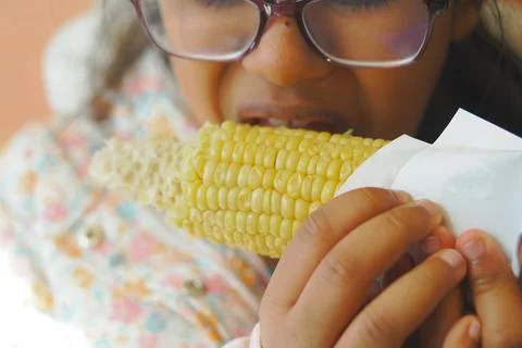 Girl eats corn on the cob while holding it in her hands Stock Photos