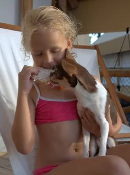 Girl eats a rice cake while her chihuahua reaches for it Stock Photos