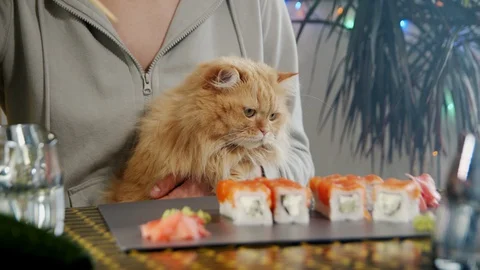 The girl eats sushi in her kitchen, and offers to try sushi to her ginger cat. Video stock 128000598
