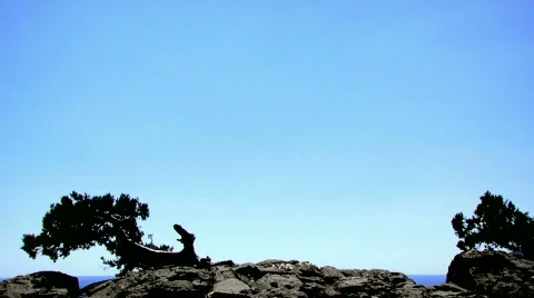 The girl on the edge Stock Footage 761918
