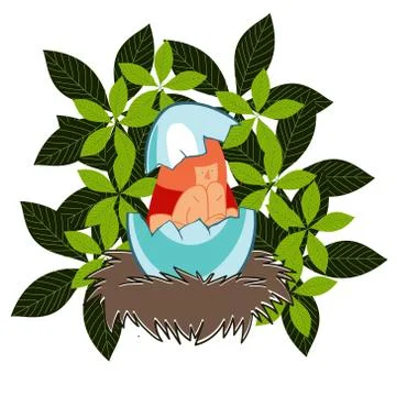 Girl in an eggshell in the nest Illustrazione stock