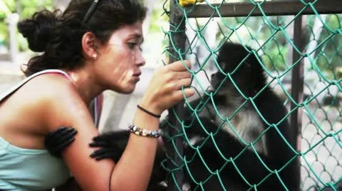Girl Embracing Monkey caged Stock Footage 12317327