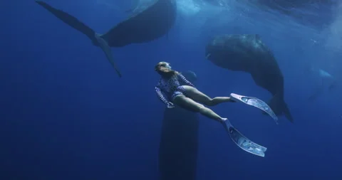 Girl engaging snorkeling swimming underwater sperm whale. Woman swimming suit Vídeos de archivo