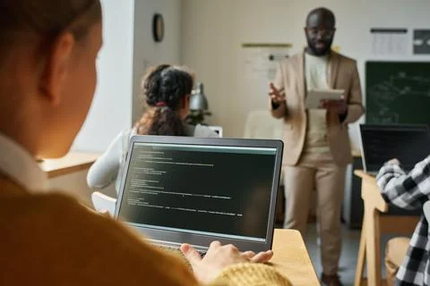 Girl examining computer program at lesson Stock Photos