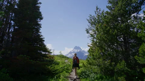 Girl exploring beautiful landscape while strolling through forests and meadows Stock Footage 205065090