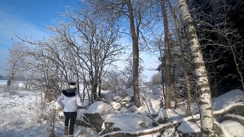 Girl Exploring Winter Forest in the Snow Stock Footage 86048565