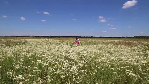 Girl in the field Stock Footage 77759668