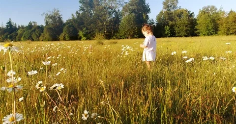 Girl in a field Video stock 110269575