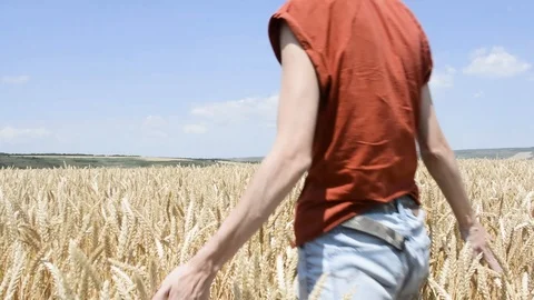 The girl is on the field with wheat Stock Footage