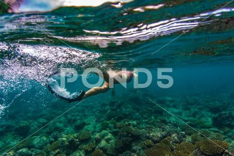Girl with fins Snorkeling in clear tropical water in ocean water at Maldives Stock Photos