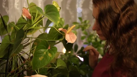 Girl with flowers Stock Footage 80006341