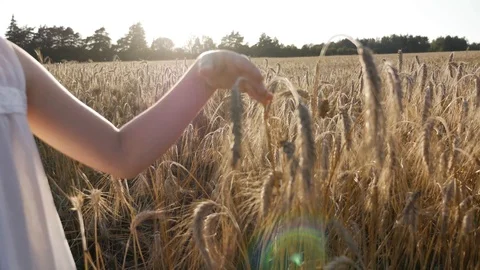 Girl! Stock Footage 113274791