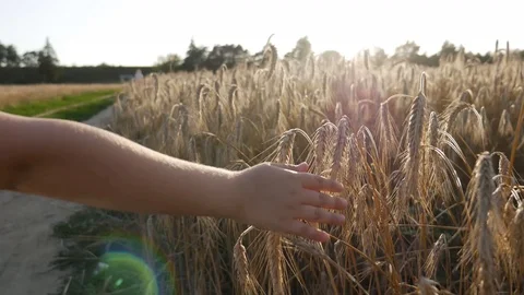 Girl! Stock Footage 113274805