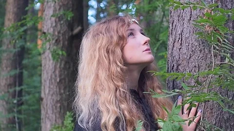 Girl in the forest Stock Footage 93238835