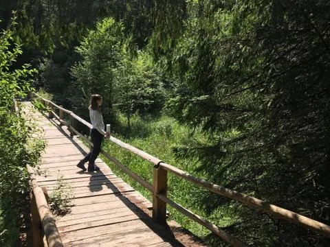 Girl in the forest Stock Photos