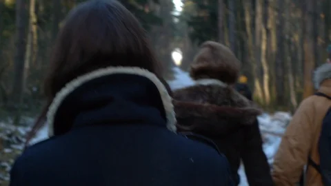 Girl in the forest, winter path Stock Footage 123148213