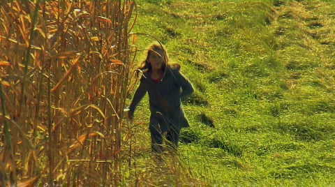 Girl full of joy running by field of corn Stock Footage