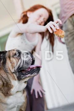 Girl Giving Dog Biscuit