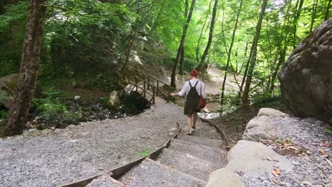The girl Goes Down the Stone Steps Among Exotic Plants in the Reserve.  Stock Footage 203896064