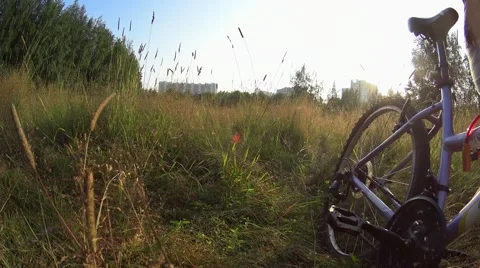 Girl going forward to camera with bicycle in tall grass in city park Stock-Footage 65838249