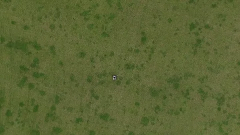 Girl on grass Stock Footage 76953170